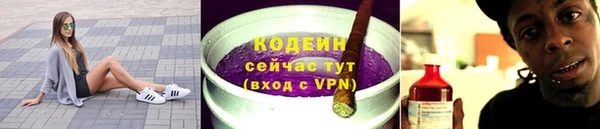 молекула духа Богданович