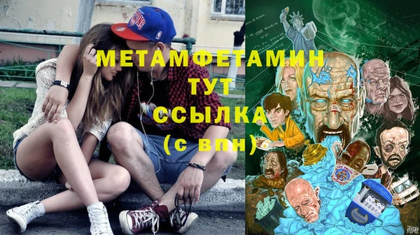 молекула духа Богданович