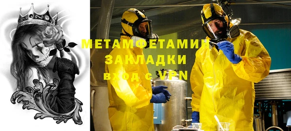 молекула духа Богданович