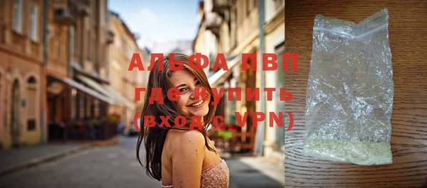 молекула духа Богданович
